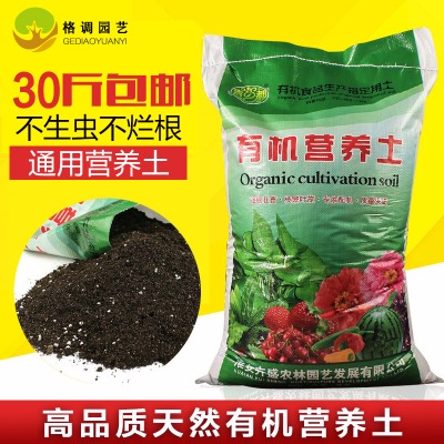 石斛苗泥土套装水栽植物陶粒珍珠岩园艺花卉大包盆栽蔬?#36865;?#38081;皮石