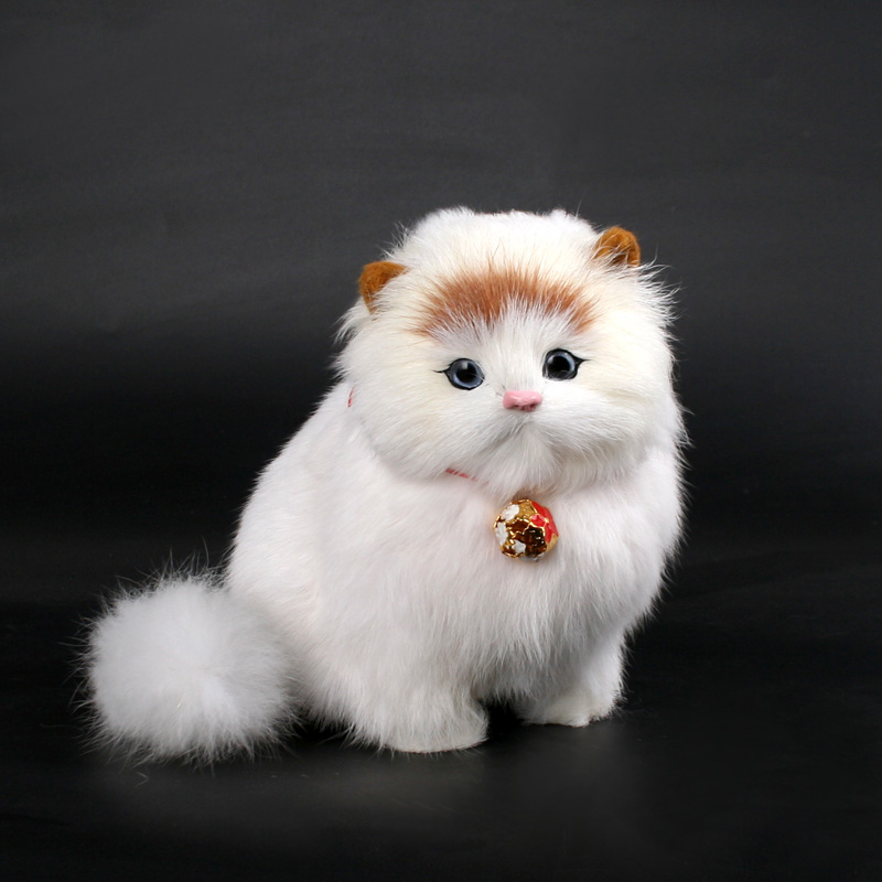 猫咪视频儿童玩具 eb9f4a25f018dcccd421c22502368717.jpeg