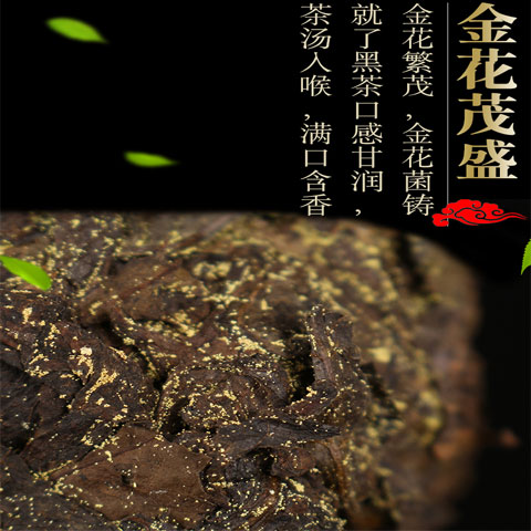 黑茶安化黑茶金花茯砖茶安化黑茶